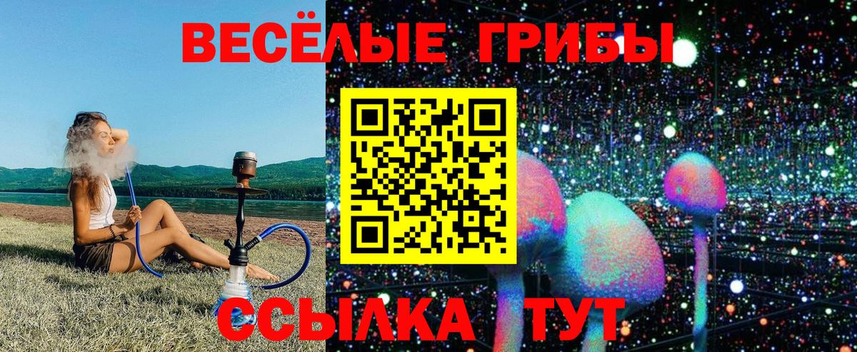 Вышний Волочёк  Галлюциногенные грибы MAGIC MUSHROOMS  Вход с VPN 